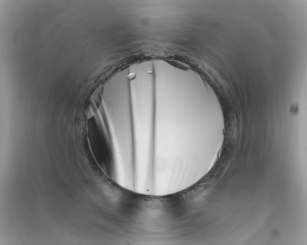 X0000090720513200708171929