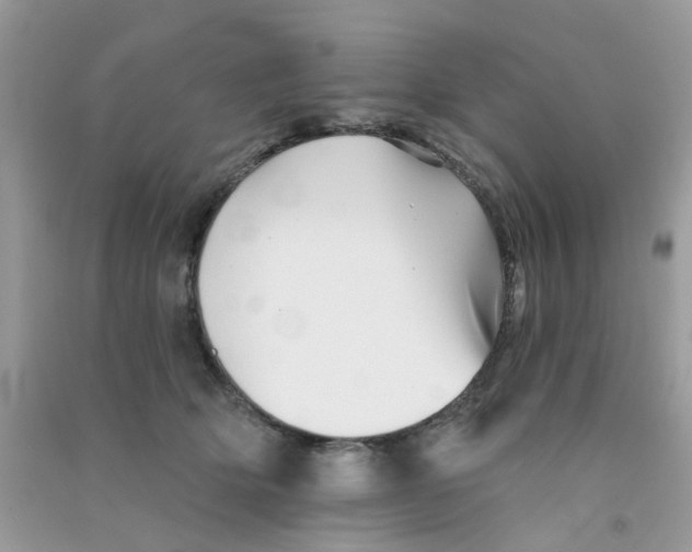 X0000090720514200708171929