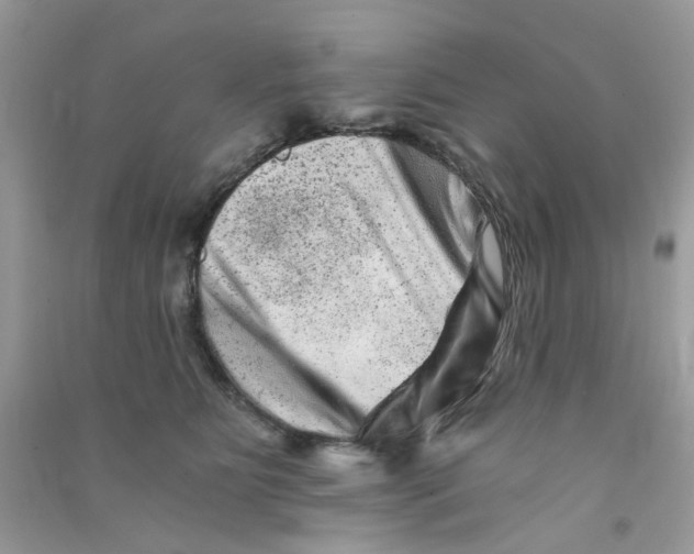 X0000090720515200708171929