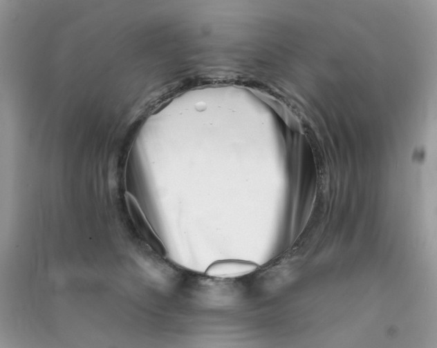 X0000090720516200708171929