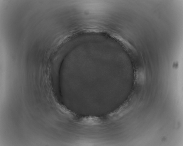 X0000090720517200708171929