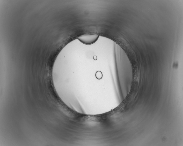 X0000090720518200708171929