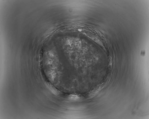 X0000090720519200708171929