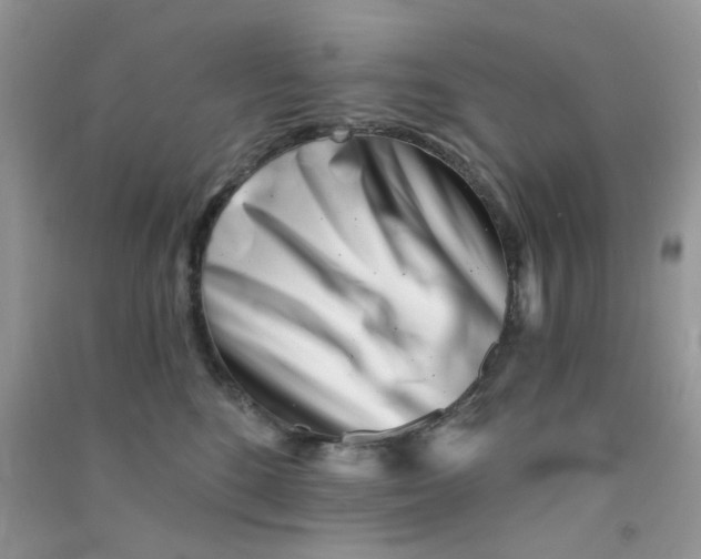 X0000090720520200708171929