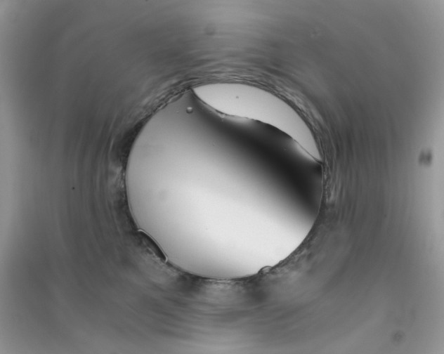 X0000090720521200708171929