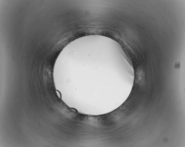 X0000090720522200708171929