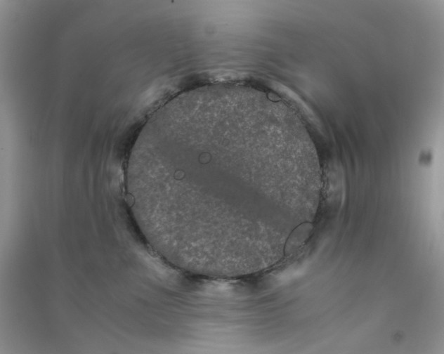 X0000090720523200708171929