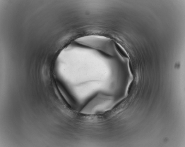 X0000090720524200708171929