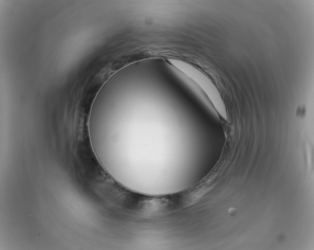 X0000090720525200708171929