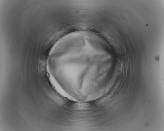 X0000090720526200708171929