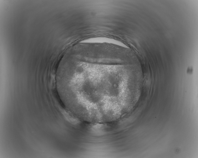 X0000090720527200708171929