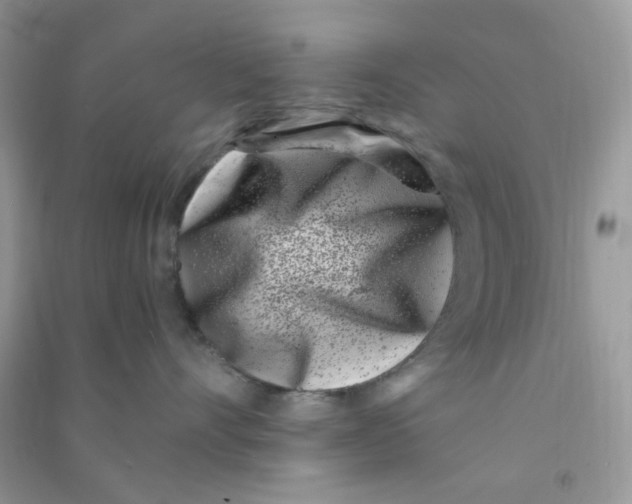 X0000090720528200708171929