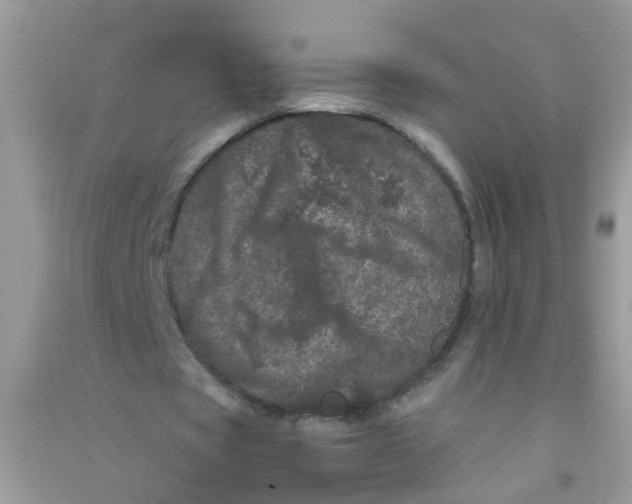 X0000090720529200708171928