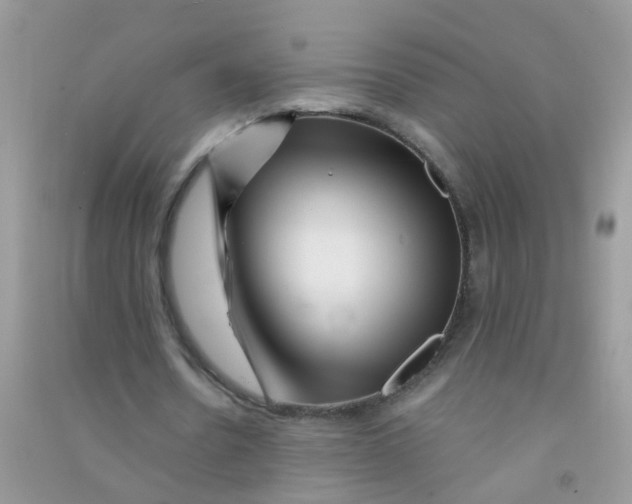 X0000090720530200708171928