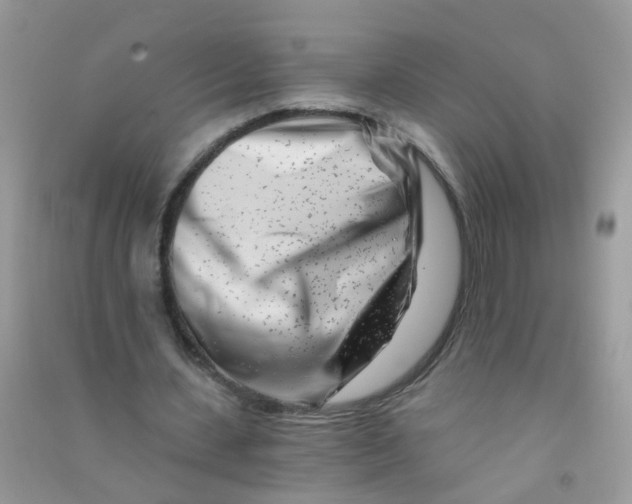 X0000090720531200708171928