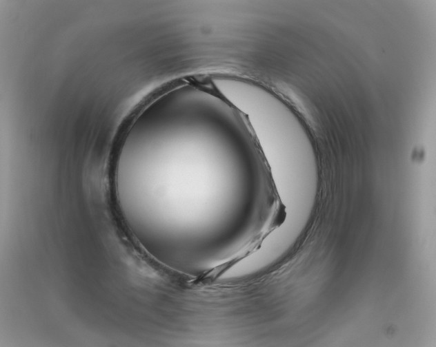 X0000090720532200708171928