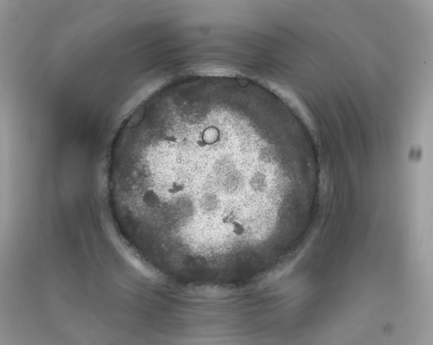 X0000090720533200708171928