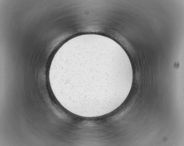 X0000090720534200708171928