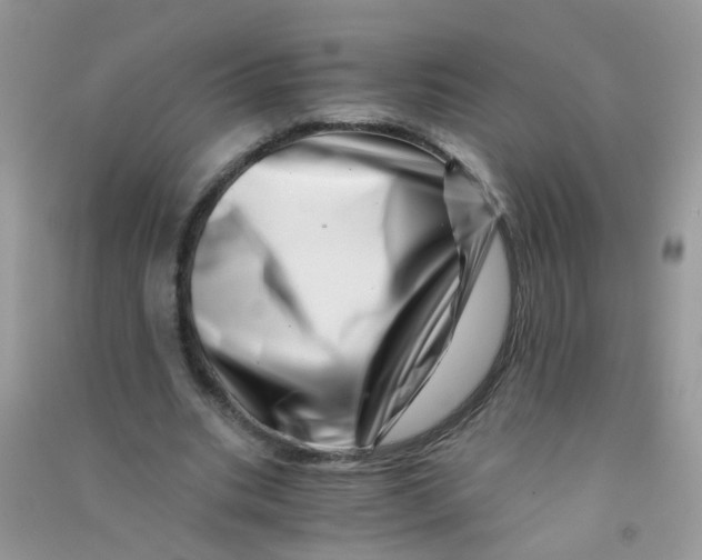 X0000090720535200708171928