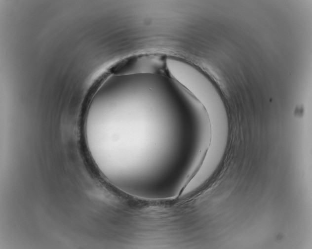 X0000090720536200708171928