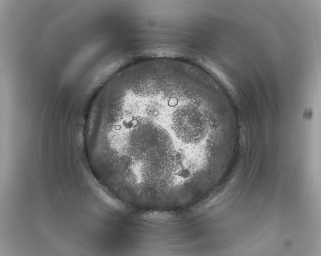 X0000090720537200708171928