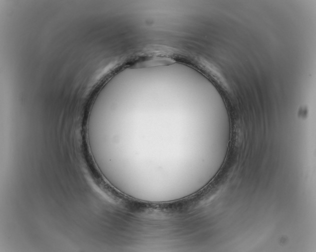 X0000090720538200708171928