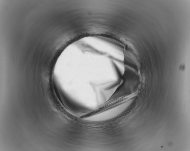 X0000090720539200708171928