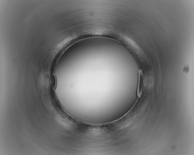 X0000090720540200708171928