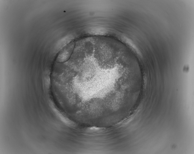 X0000090720541200708171929