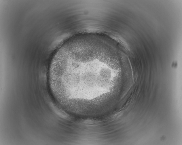 X0000090720542200708171929