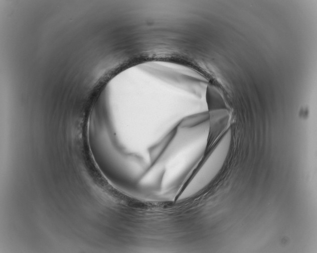 X0000090720543200708171929