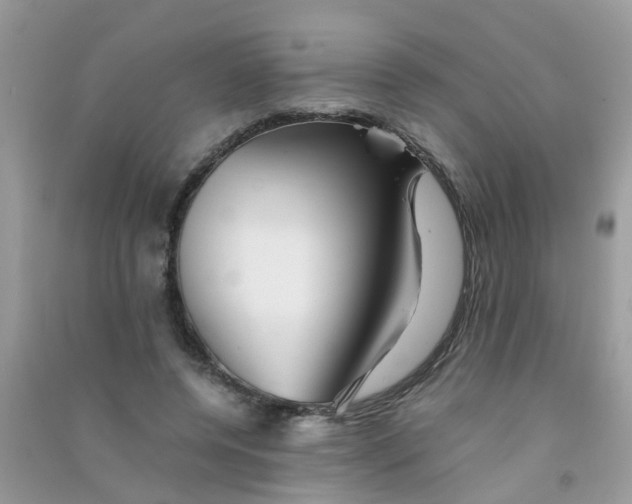 X0000090720544200708171929