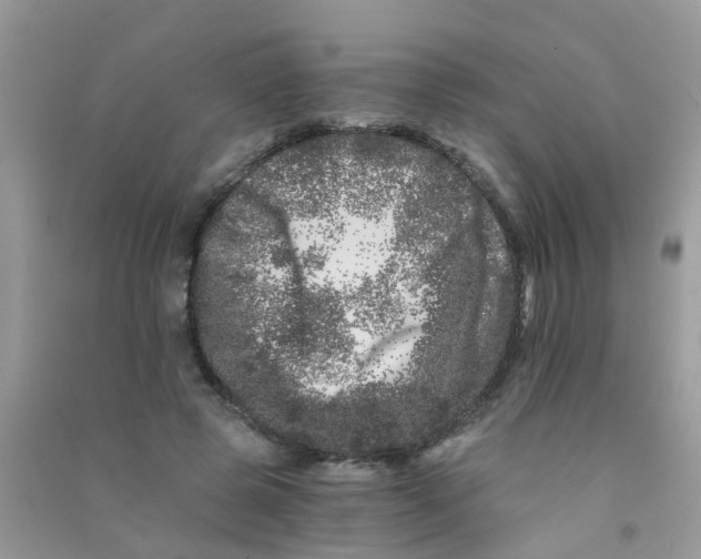 X0000090720545200708171929