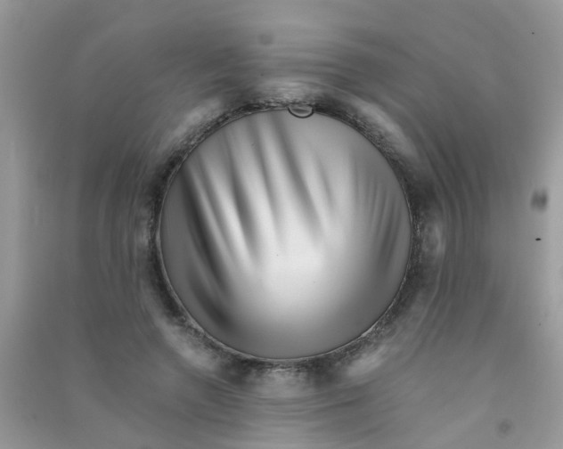 X0000090720546200708171929