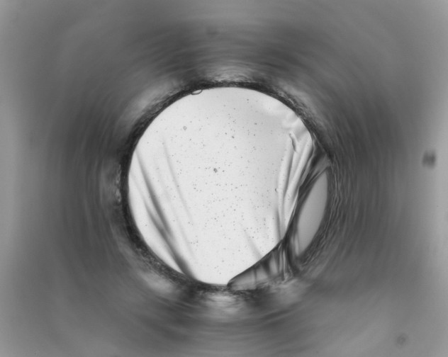 X0000090720547200708171929