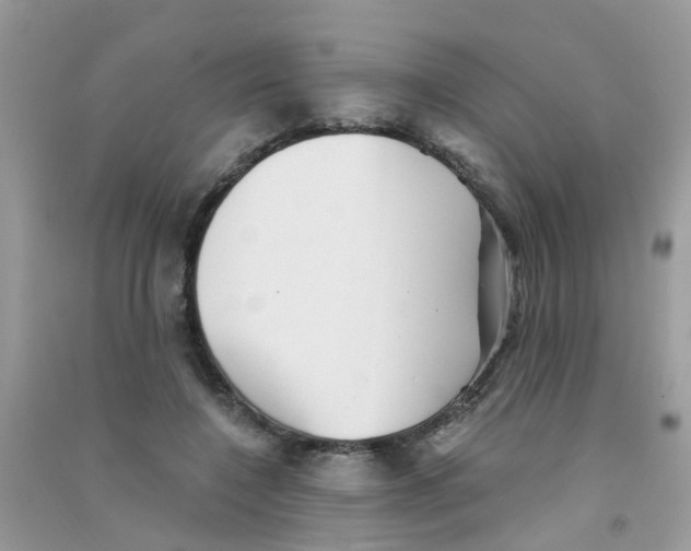 X0000090720548200708171929