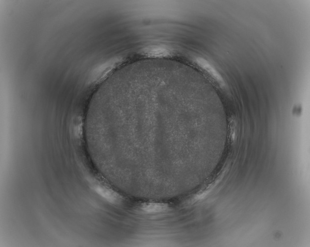 X0000090720549200708171929