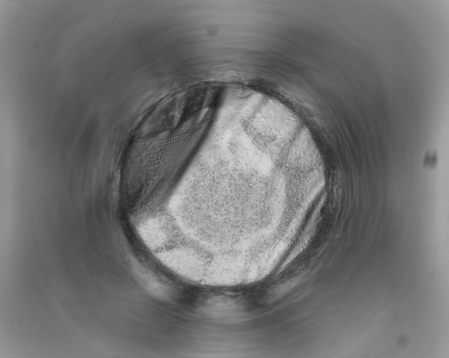 X0000090720550200708171929