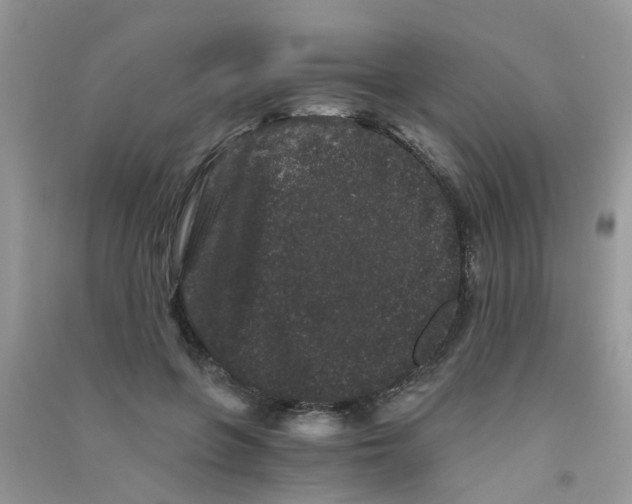 X0000090720551200708171929