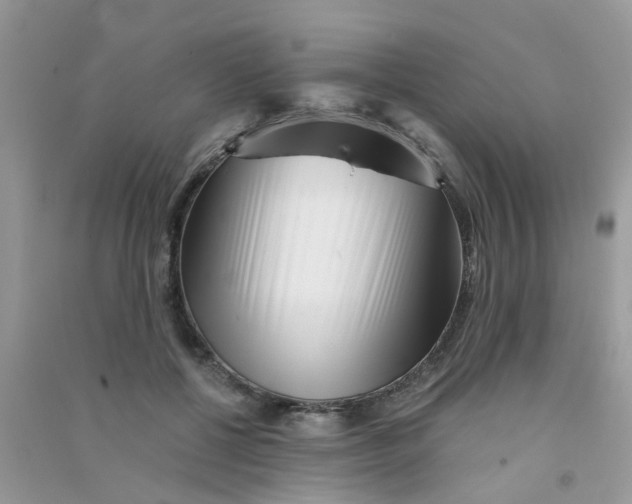 X0000090720552200708171929