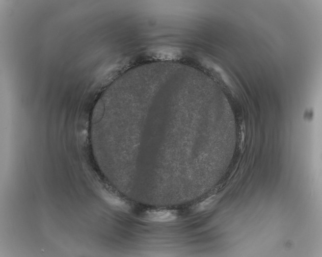 X0000090720553200708171929