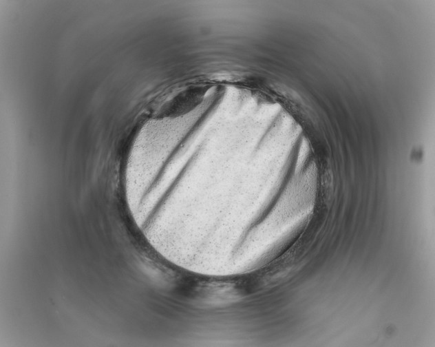 X0000090720554200708171929