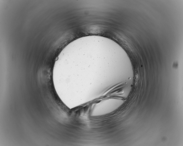 X0000090720555200708171929