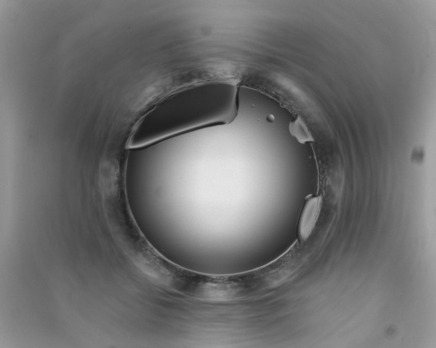 X0000090720556200708171929