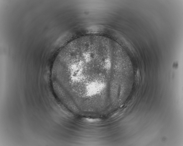 X0000090720557200708171929