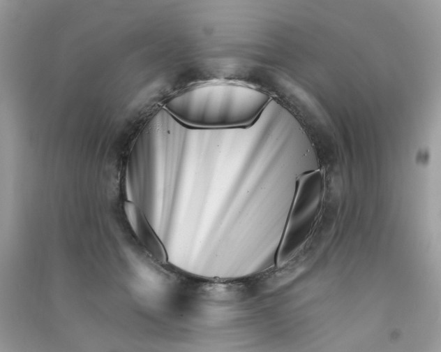 X0000090720558200708171929