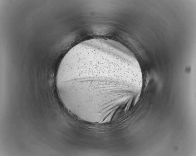 X0000090720559200708171929