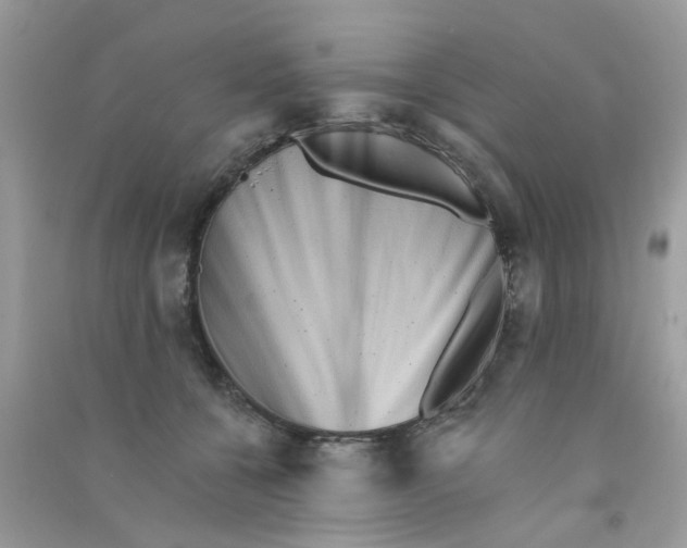 X0000090720560200708171929