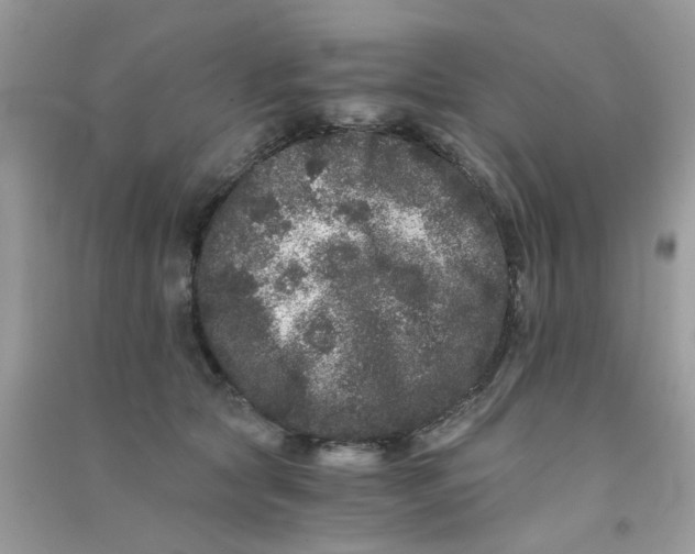 X0000090720561200708171929