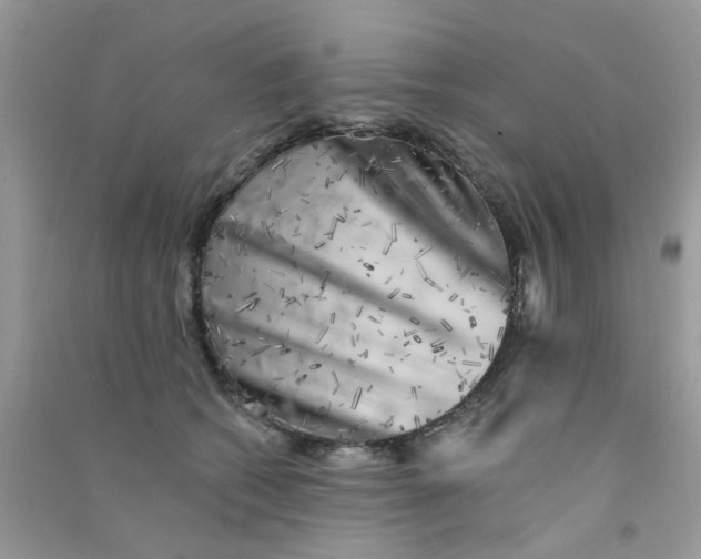 X0000090720562200708171929